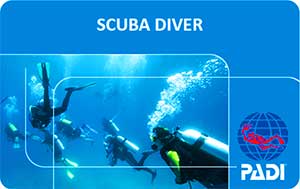 PADI Scuba Diver course samui